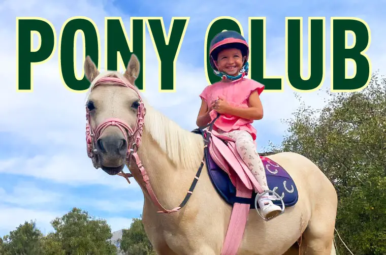 Lee más sobre el artículo El Pony Club de Hípica Guadarrama